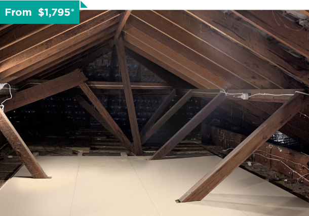 Affordable Attic Storage Solutions | Attic Group